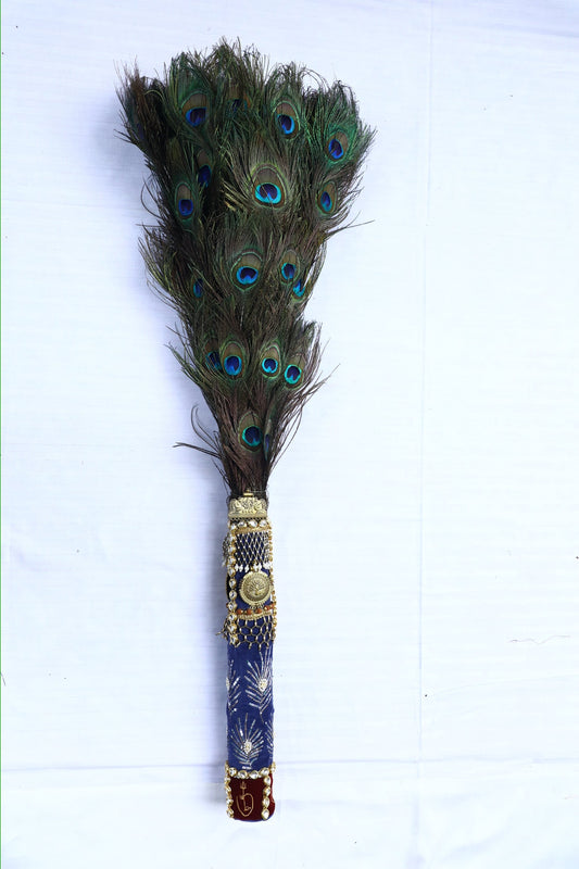 NEEL SHINGAAR MOR CHADHI