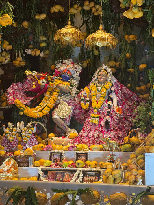 THE  DIVYA  KAMAL POSHAK