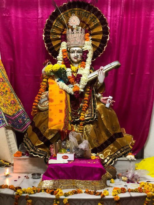 THE SHAKTI VEER POSHAK