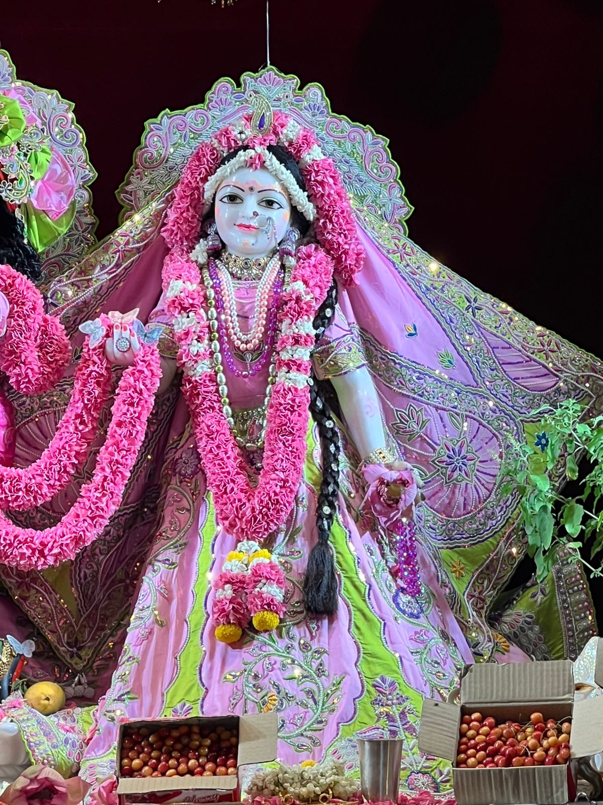 THE VASANT GULMOHAR  POSHAK