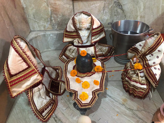 THE ANANTA SHOBHA POSHAK SET